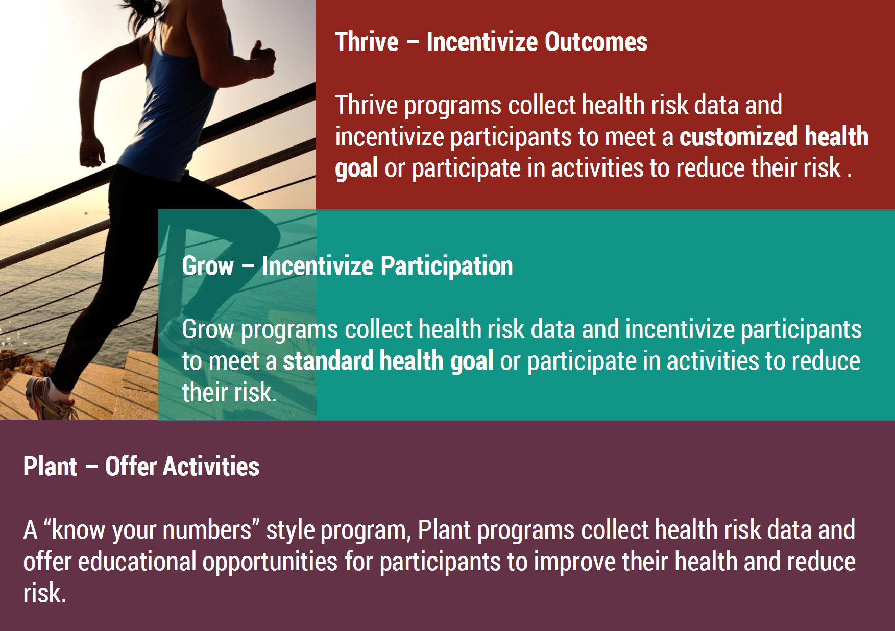 plant-grow-thrive-plans plant-grow-thrive-plans